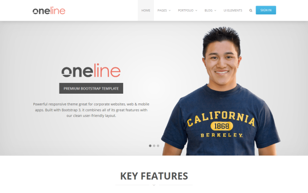 Oneline - Powerful Responsive Theme